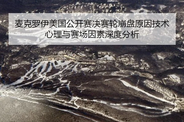mai-ke-luo-yi-mei-guo-gong-kai-sai-jue-sai-lun-beng-pan-yuan-yin-ji-shu-xin-li-yu-sai-chang-yin-su-shen-du-fen-xi-2-454.jpg