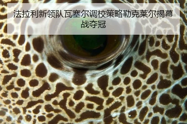法拉利新领队瓦塞尔调校策略勒克莱尔揭幕战夺冠